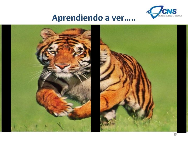 Aprendiendo a ver…. . 25 