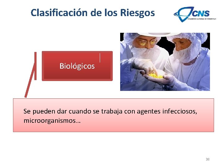 Clasificación de los Riesgos Biológicos Se pueden dar cuando se trabaja con agentes infecciosos,