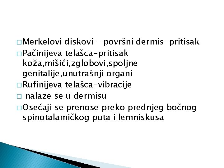 � Merkelovi diskovi - površni dermis-pritisak � Pačinijeva telašca-pritisak koža, mišići, zglobovi, spoljne genitalije,