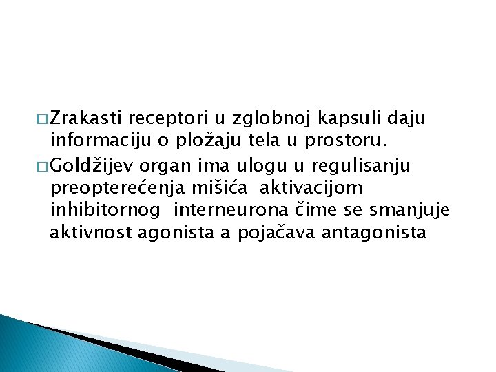 � Zrakasti receptori u zglobnoj kapsuli daju informaciju o pložaju tela u prostoru. �