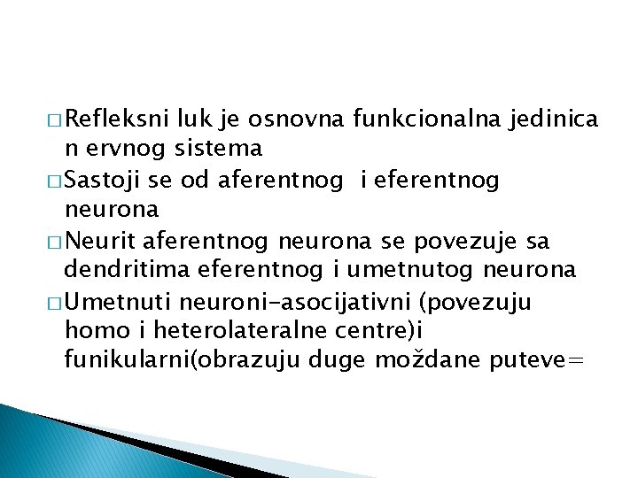 � Refleksni luk je osnovna funkcionalna jedinica n ervnog sistema � Sastoji se od