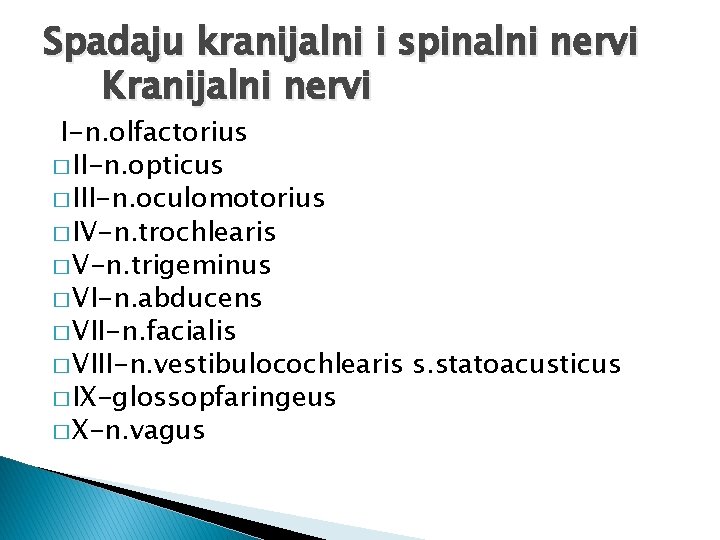 Spadaju kranijalni i spinalni nervi Kranijalni nervi I-n. olfactorius � II-n. opticus � III-n.