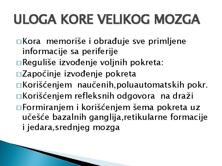 ULOGA KORE VELIKOG MOZGA � Kora memoriše i obrađuje sve primljene informacije sa periferije