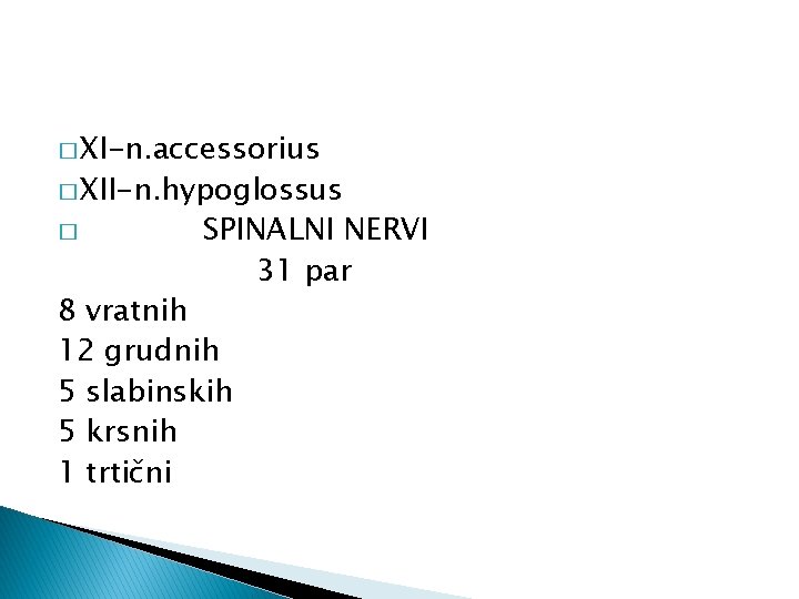 � XI-n. accessorius � XII-n. hypoglossus � SPINALNI NERVI 31 par 8 vratnih 12