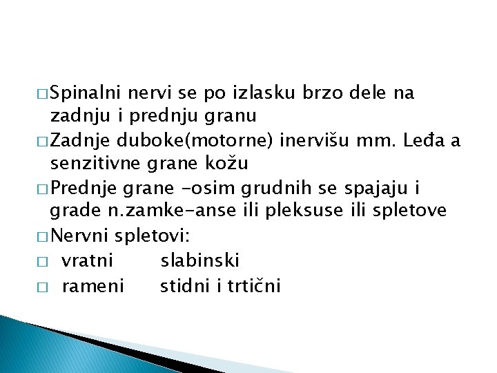 � Spinalni nervi se po izlasku brzo dele na zadnju i prednju granu �