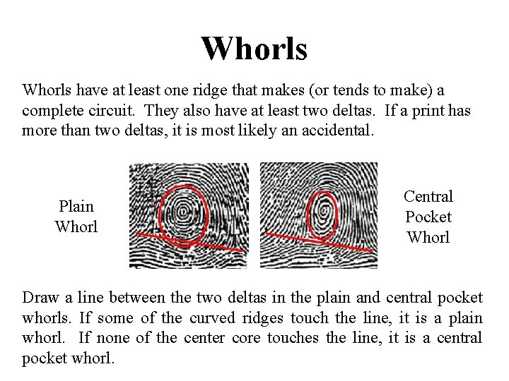 Whorls have at least one ridge that makes (or tends to make) a complete