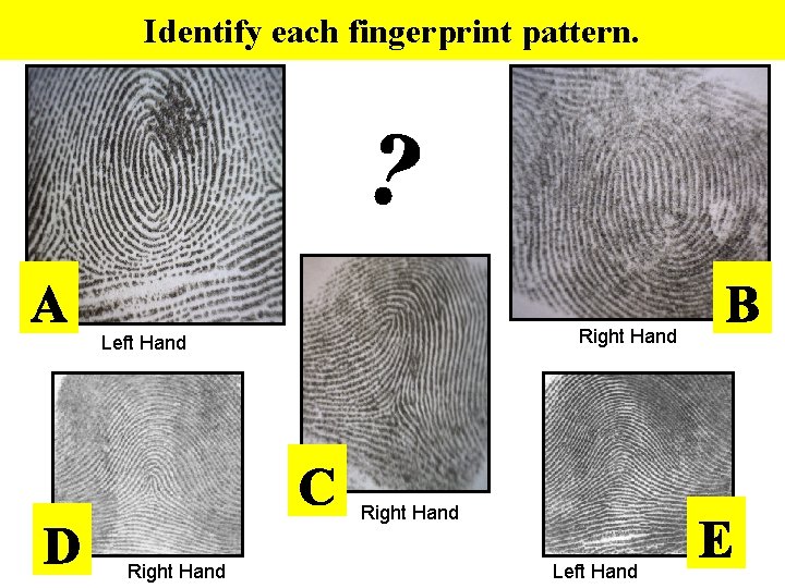 Identify each fingerprint pattern. Right Hand Left Hand 