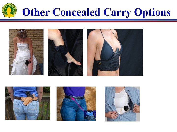 Other Concealed Carry Options 