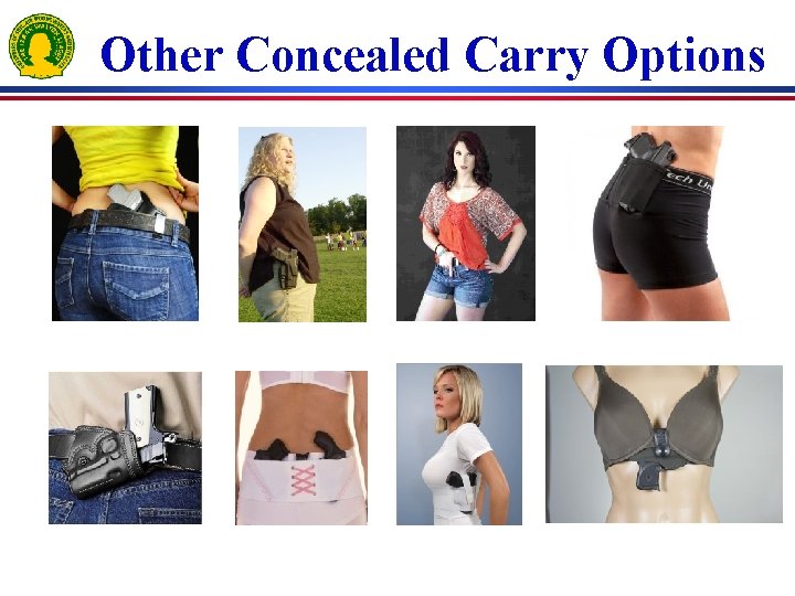 Other Concealed Carry Options 