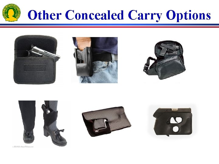 Other Concealed Carry Options 