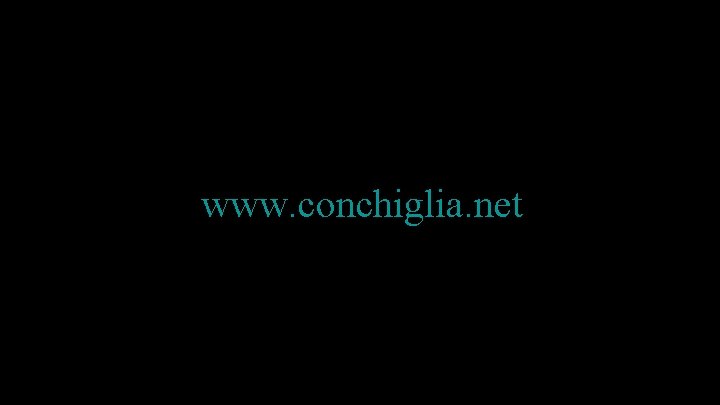 www. conchiglia. net 