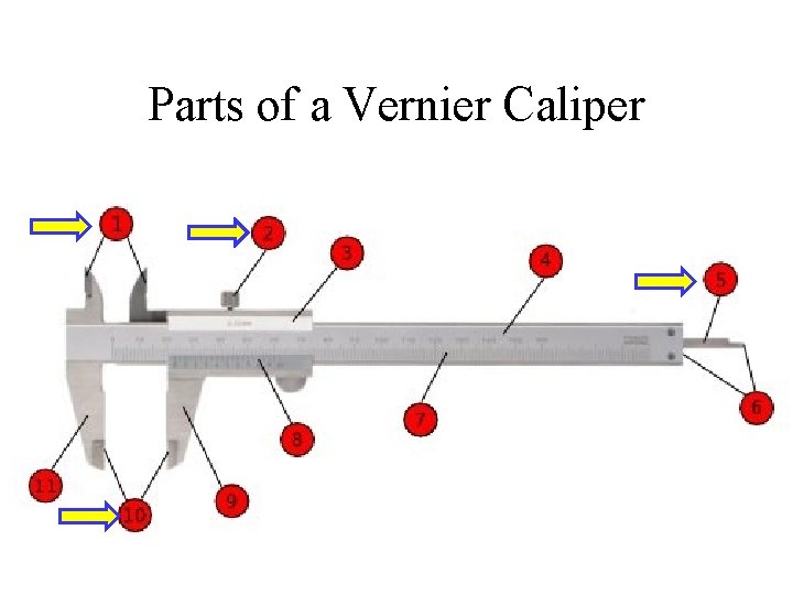 Parts of a Vernier Caliper 