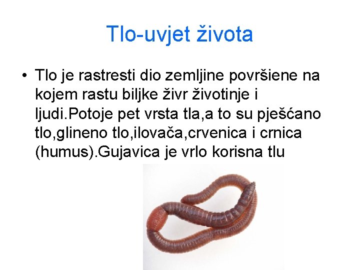 Tlo-uvjet života • Tlo je rastresti dio zemljine površiene na kojem rastu biljke živr