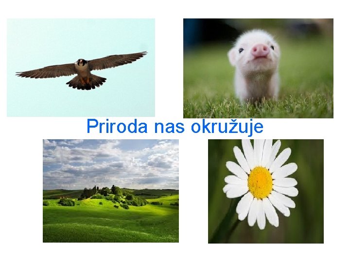 Priroda nas okružuje 