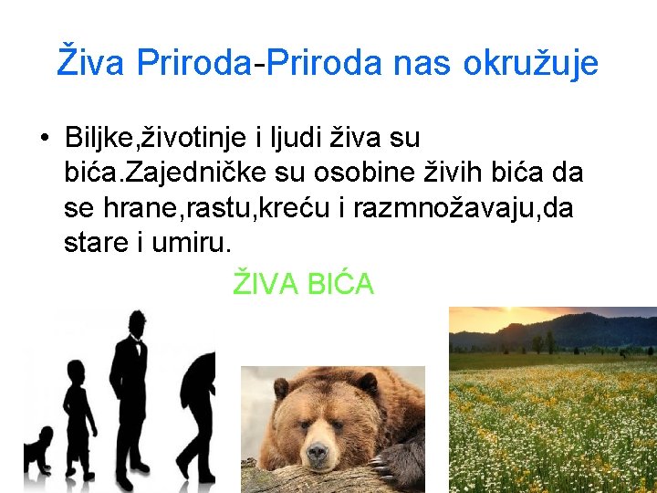 Živa Priroda-Priroda nas okružuje • Biljke, životinje i ljudi živa su bića. Zajedničke su