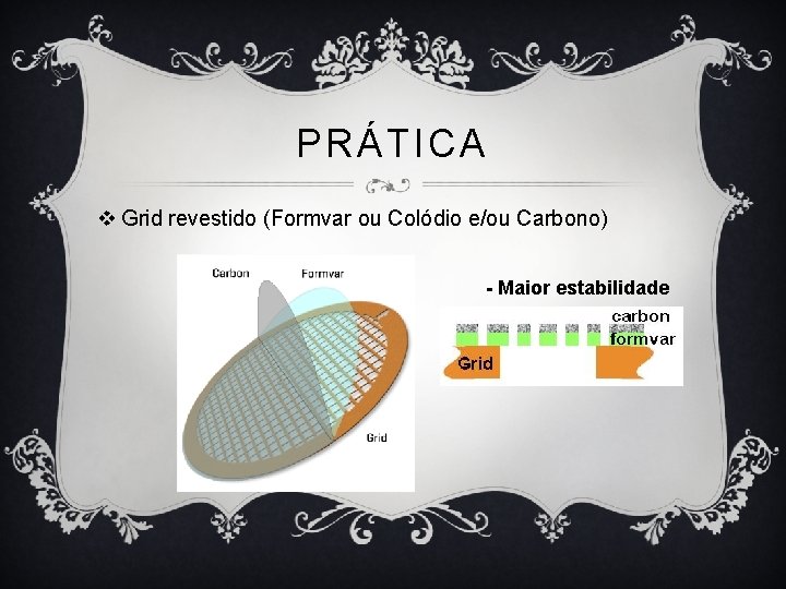 PRÁTICA v Grid revestido (Formvar ou Colódio e/ou Carbono) - Maior estabilidade 