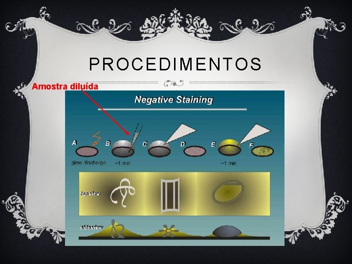 PROCEDIMENTOS Amostra diluída PROCEDIMENTOS Amostra diluída