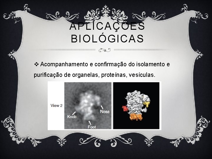 APLICAÇÕES BIOLÓGICAS v Acompanhamento e confirmação do isolamento e purificação de organelas, proteínas, vesículas.