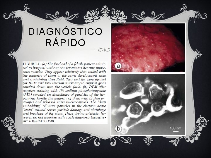 DIAGNÓSTICO RÁPIDO 