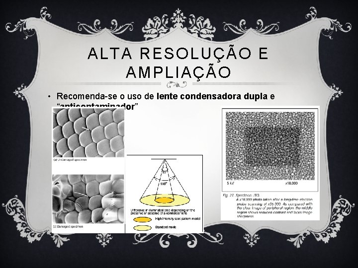 ALTA RESOLUÇÃO E AMPLIAÇÃO • Recomenda-se o uso de lente condensadora dupla e “anticontaminador”