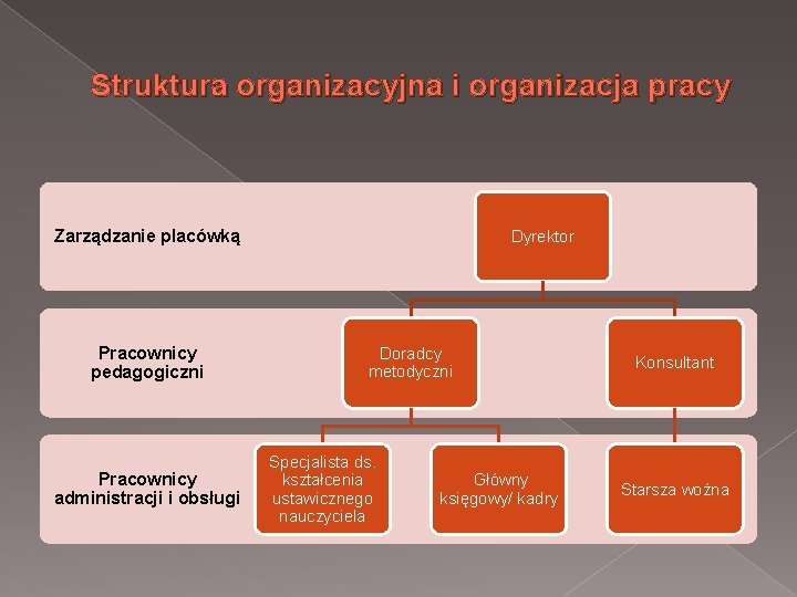 Struktura organizacyjna i organizacja pracy Zarządzanie placówką Pracownicy pedagogiczni Pracownicy administracji i obsługi Dyrektor