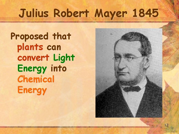 Julius Robert Mayer 1845 Proposed that plants can convert Light Energy into Chemical Energy