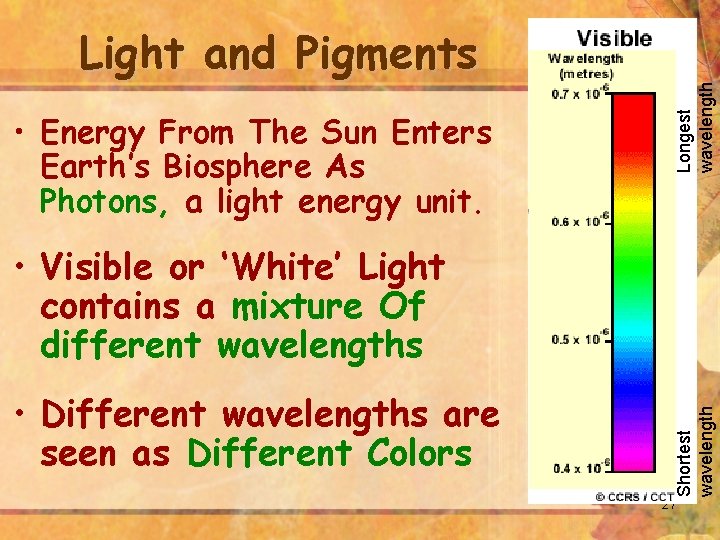  • Energy From The Sun Enters Earth’s Biosphere As Photons, a light energy