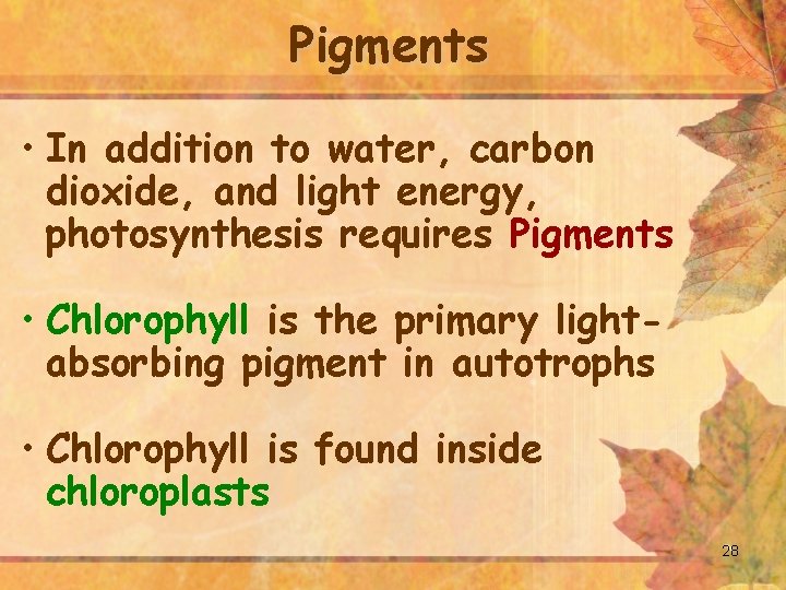 Pigments • In addition to water, carbon dioxide, and light energy, photosynthesis requires Pigments