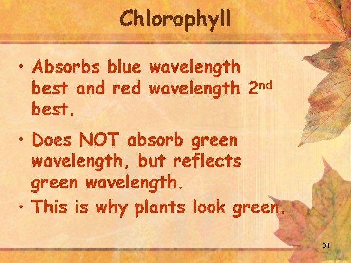 Chlorophyll • Absorbs blue wavelength best and red wavelength 2 nd best. • Does