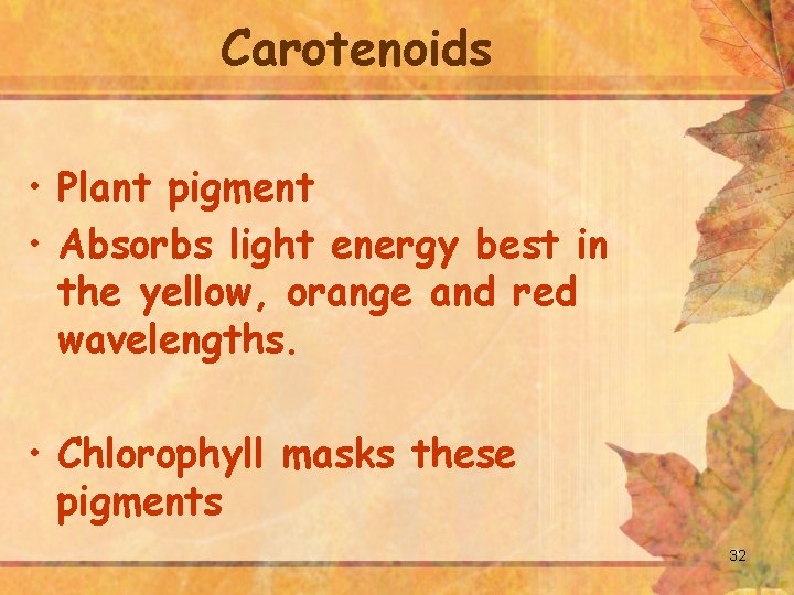 Carotenoids • Plant pigment • Absorbs light energy best in the yellow, orange and