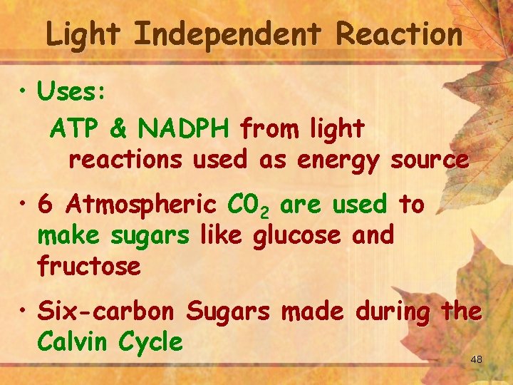 Light Independent Reaction • Uses: ATP & NADPH from light reactions used as energy