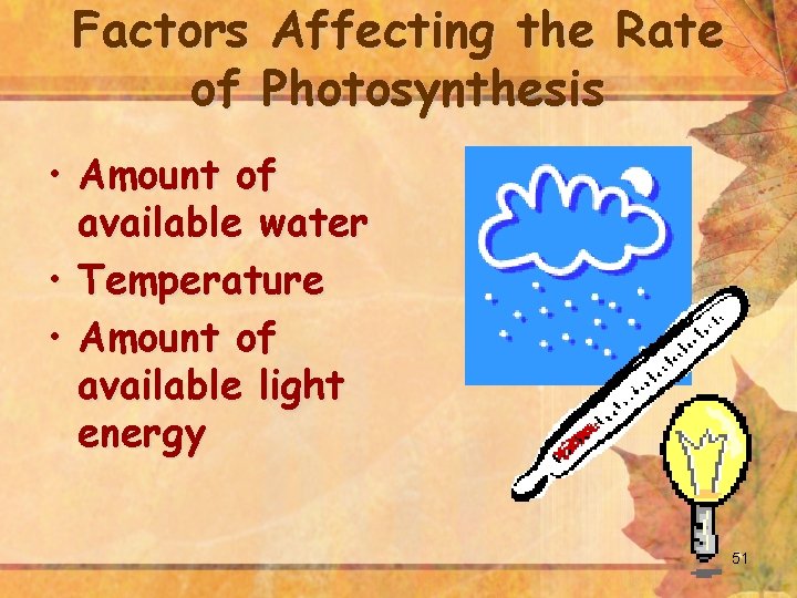Factors Affecting the Rate of Photosynthesis • Amount of available water • Temperature •