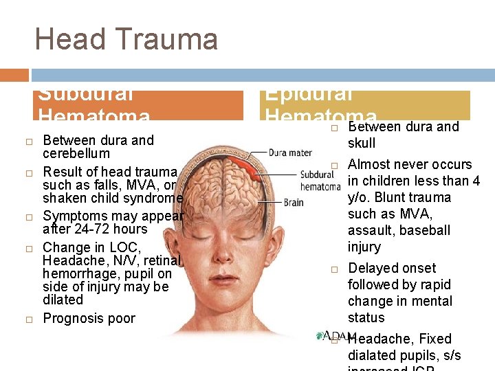 Head Trauma Subdural Hematoma Between dura and cerebellum Result of head trauma such as Head Trauma Subdural Hematoma Between dura and cerebellum Result of head trauma such as
