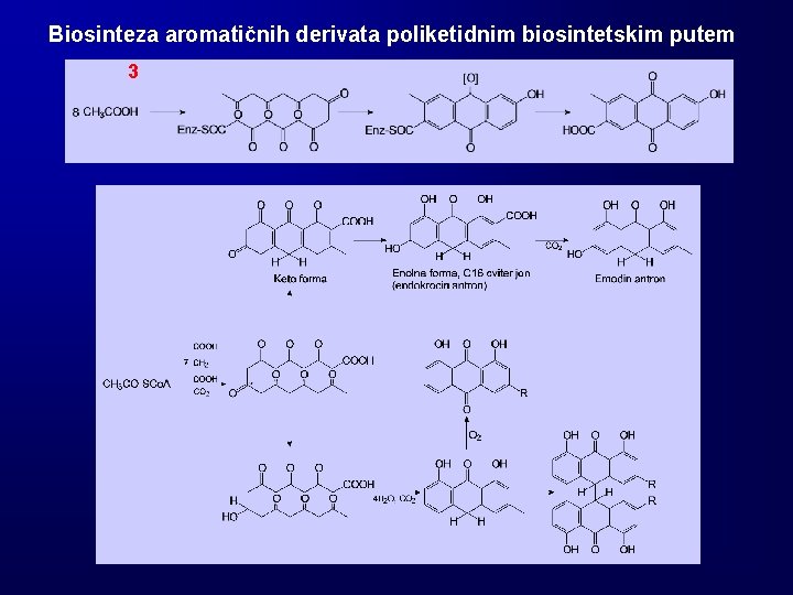 Biosinteza aromatičnih derivata poliketidnim biosintetskim putem 3 