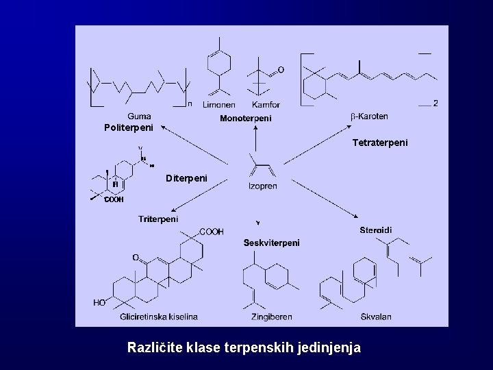 Politerpeni Tetraterpeni Diterpeni Različite klase terpenskih jedinjenja 