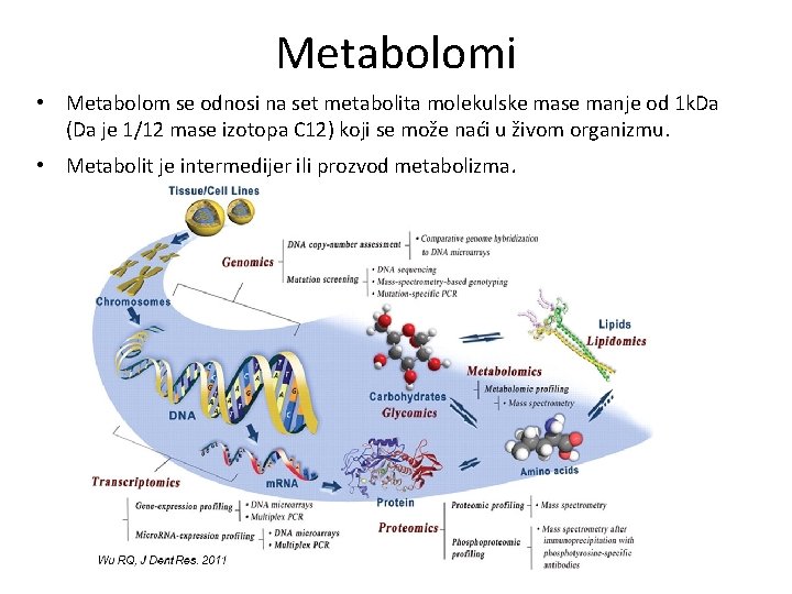 Metabolomi • Metabolom se odnosi na set metabolita molekulske mase manje od 1 k.