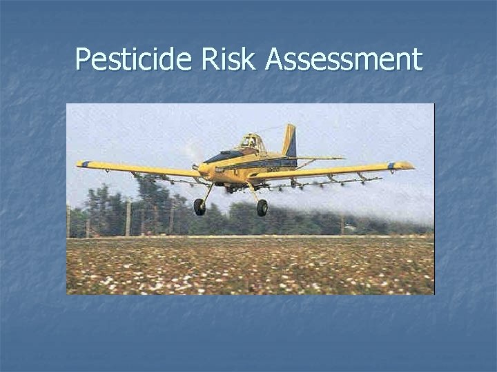 Pesticide Risk Assessment 
