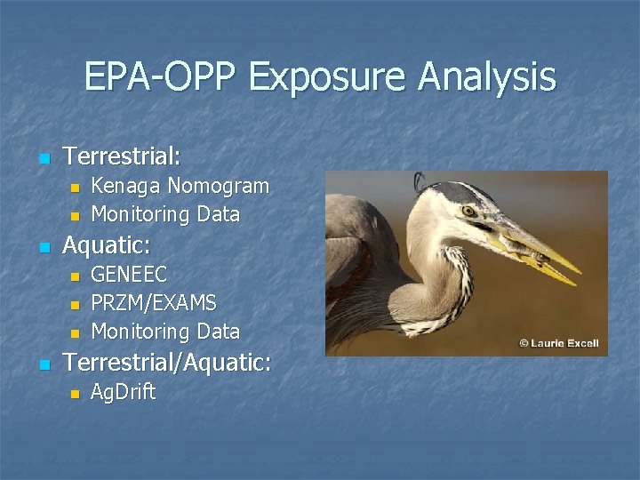 EPA-OPP Exposure Analysis n Terrestrial: n n n Aquatic: n n Kenaga Nomogram Monitoring