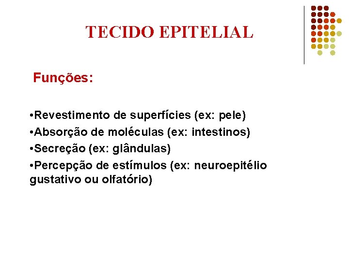 TECIDO EPITELIAL Funções: • Revestimento de superfícies (ex: pele) • Absorção de moléculas (ex: