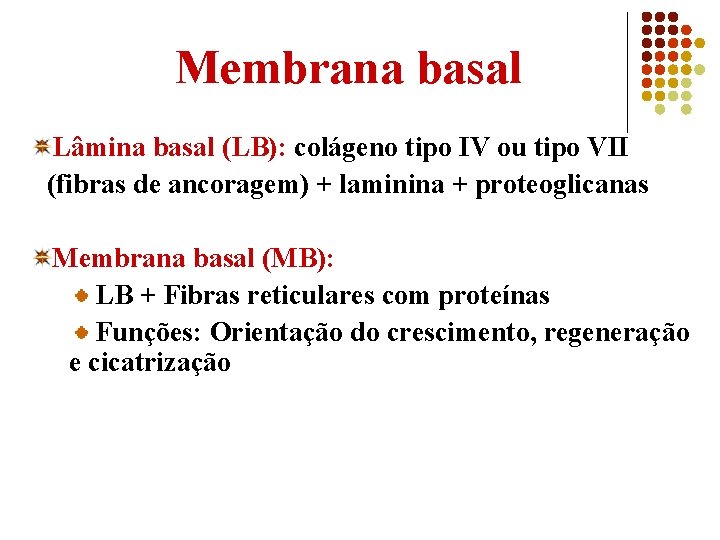 Membrana basal Lâmina basal (LB): colágeno tipo IV ou tipo VII (fibras de ancoragem)