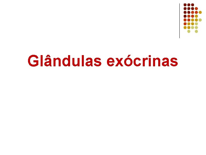 Glândulas exócrinas 