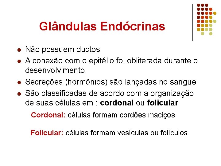 Glândulas Endócrinas l l Não possuem ductos A conexão com o epitélio foi obliterada