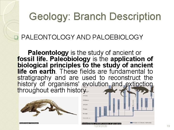 Geology: Branch Description q PALEONTOLOGY AND PALOEBIOLOGY Paleontology is the study of ancient or