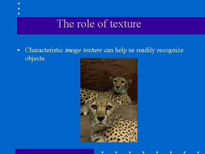 The role of texture • Characteristic image texture can help us readily recognize objects. The role of texture • Characteristic image texture can help us readily recognize objects.