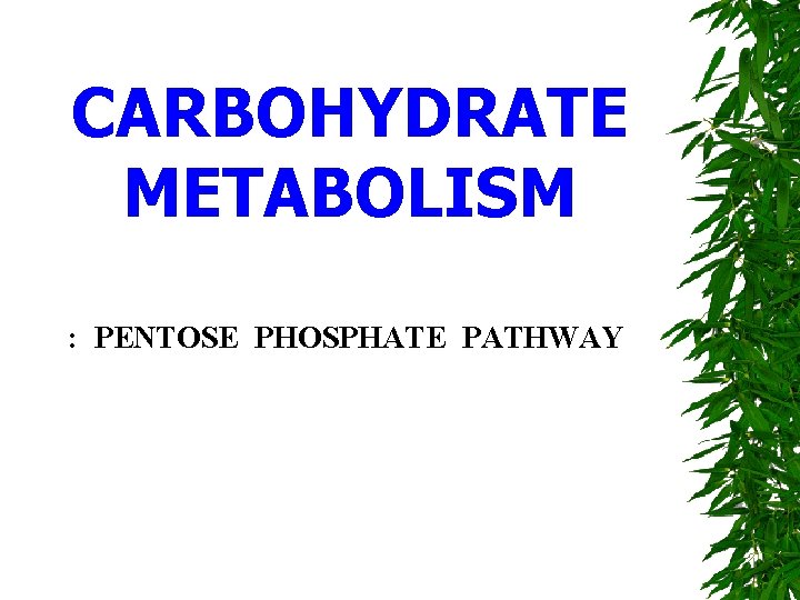 CARBOHYDRATE METABOLISM : PENTOSE PHOSPHATE PATHWAY 