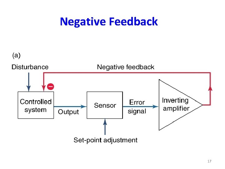 Negative Feedback 17 