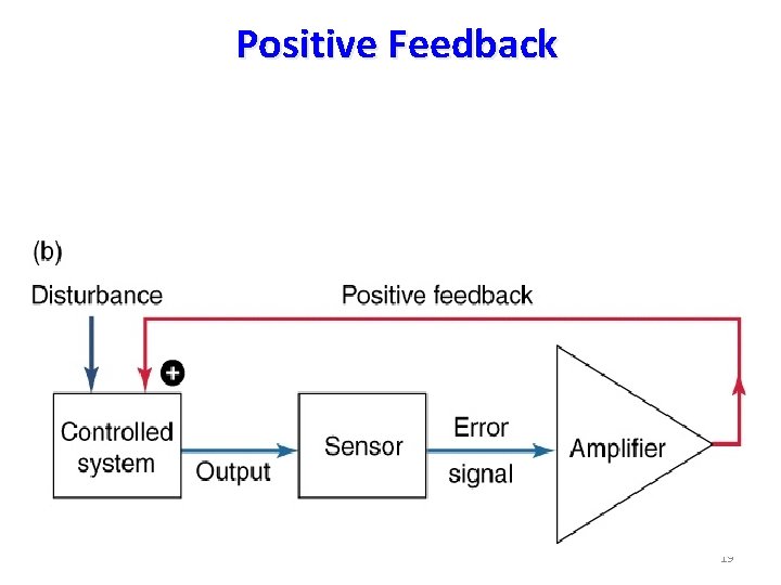 Positive Feedback 19 