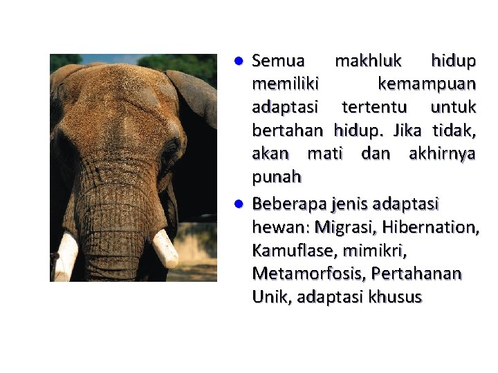 l l Semua makhluk hidup memiliki kemampuan adaptasi tertentu untuk bertahan hidup. Jika tidak,