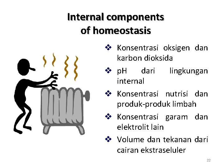 Internal components of homeostasis v Konsentrasi oksigen dan karbon dioksida v p. H dari