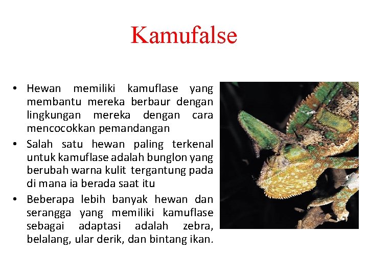 Kamufalse • Hewan memiliki kamuflase yang membantu mereka berbaur dengan lingkungan mereka dengan cara